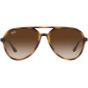 Ray-Ban Rb4376 Aviator Sunglasses